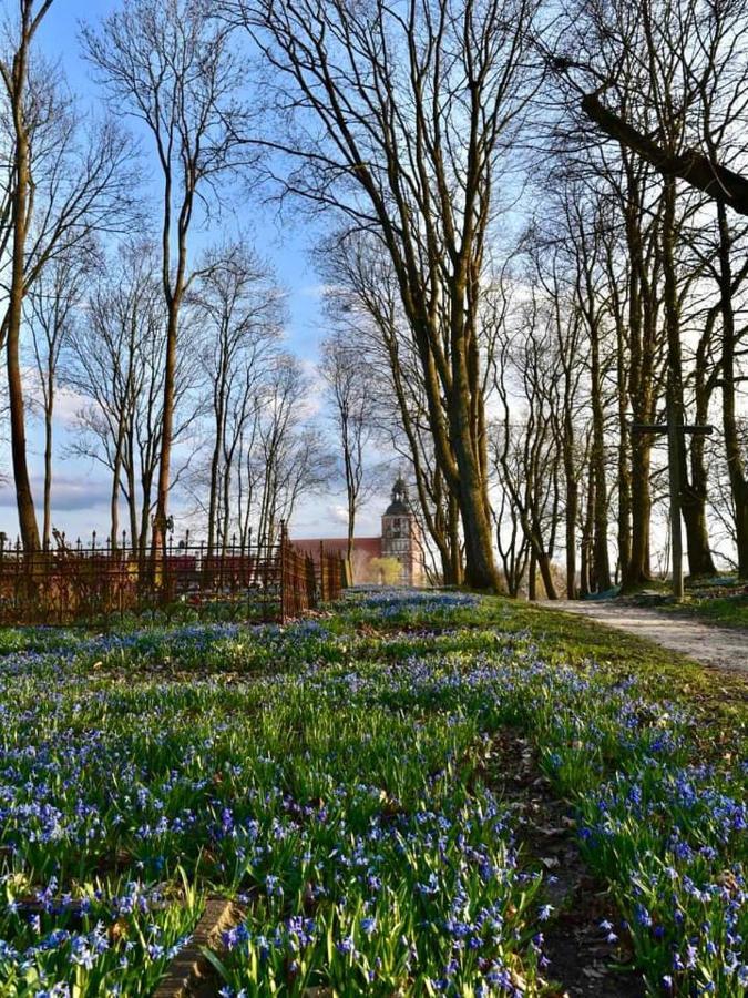 Apartament Mala Wenecja Barczewo Bagian luar foto